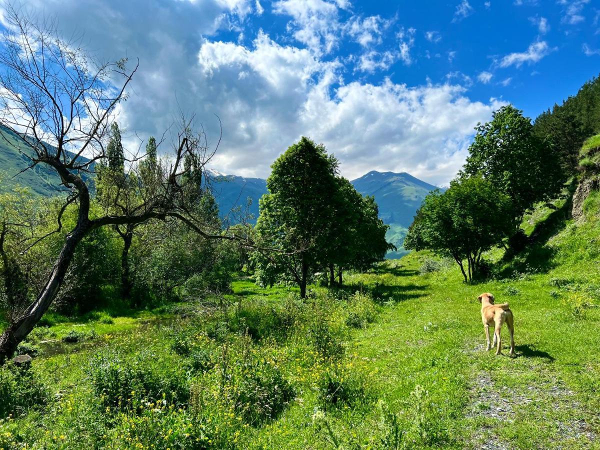 Sno Woodland Villa Kültér fotó